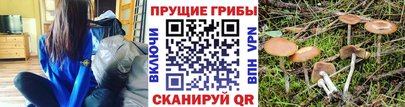 Галлюциногенные грибы Magic Shrooms  Зарайск 